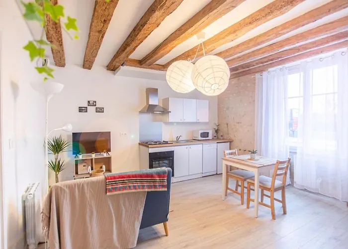 Nice getaway in Amboise&sauna in T2 near Royal Castle - LE LÉONARD
