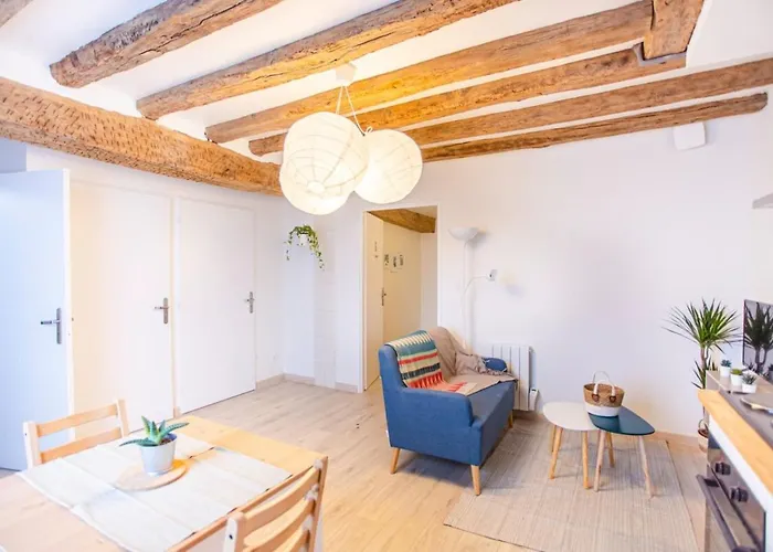 Nice getaway in Amboise&sauna in T2 near Royal Castle - LE LÉONARD